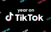系统打造TIKTOK账号，Tiktok新手起号技巧配合跨境电商发展（价值1980元）