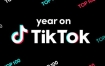 Tiktok跨境电商美国视频车/直播车/英美融合店有什么不同（免费入驻方法）