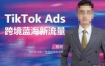 如何投出高ROI的TikTok广告，开拓独立站卖家流量新蓝海