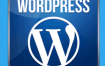 WordPress网站建设和优化