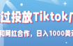Tiktok赚钱项目：通过投放Tiktok广告，和网红合作，日入1000美元