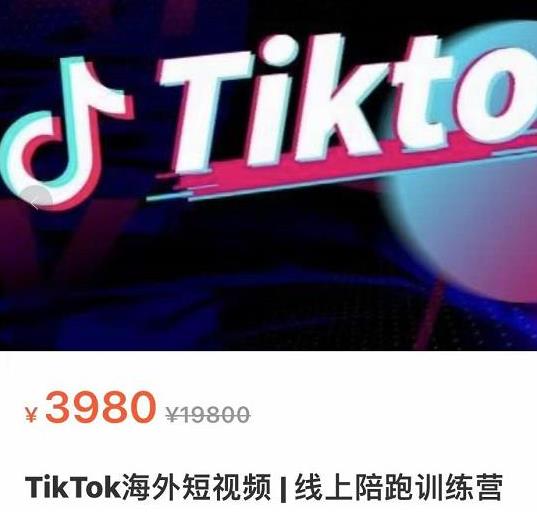 TikTok海外抖音短视频线上陪跑训练营，玩赚Tiktok少走弯路，价值3980元