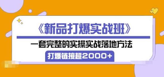 《新品打爆实战班》一套完整的实操实战落地方法，打爆链接超2000+（38节课)