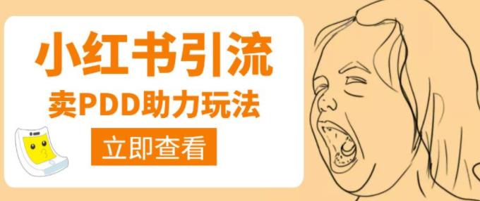 利用小红书卖拼多多助力，日赚100+，顺便还能引个流【视频课程】