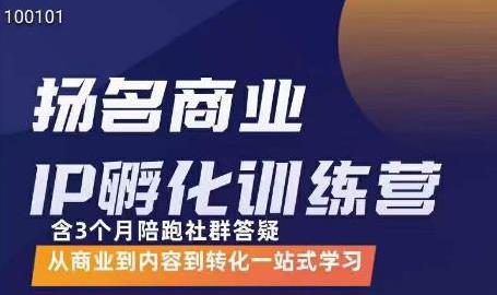 商业IP孵化训练营，从商业到内容到转化一站式学习