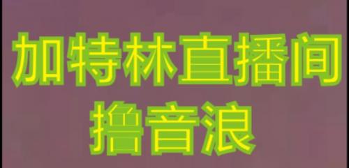 抖音加特林直播间搭建技术，抖音0粉开播，暴力撸音浪，2023新口子，每天800 【素材 详细教程】