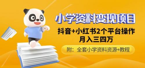 唐老师小学资料变现项目，抖音 小红书2个平台操作，月入数万元（全套资料 教程）