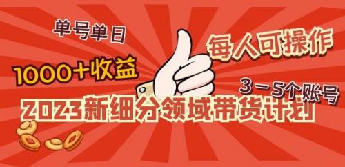 2023新细分领域带货计划：单号单日1000 收益不难，每人可操作3-5个账号