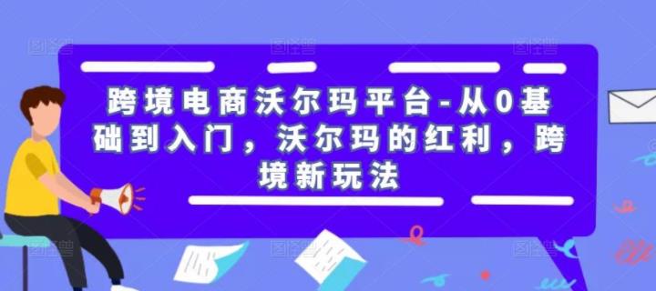 跨境电商沃尔玛平台-从0基础到入门，沃尔玛的红利，跨境新玩法