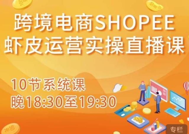 跨境电商Shopee虾皮运营实操直播课，从零开始学，入门到精通（10节系统课）