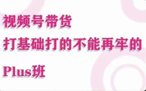 视频号带货Puls班，视频号底层逻辑，起号自然流鱼塘等玩法