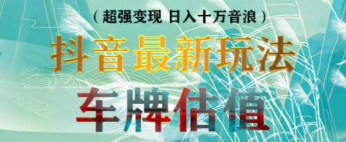 抖音最新无人直播变现直播车牌估值玩法项目，轻松日赚几百 【详细玩法教程】