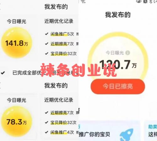 最新闲鱼大流量联盟玩法，单日引流200+，稳定日入1000+，价值1980元