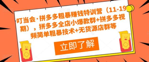拼多多粗暴赚钱特训营（11-19期），拼多多全店小爆款群+拼多多视频简单粗暴技术+无货源店群等