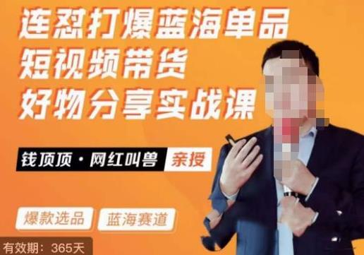 连怼打爆蓝海单品，短视频带货好物分享实战课