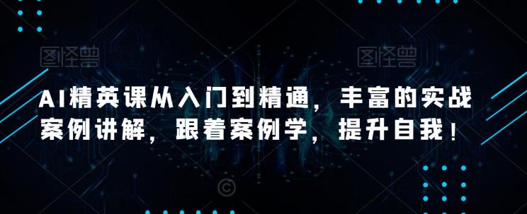 AI精英课从入门到精通，丰富的实战案例讲解，跟着案例学，提升自我！