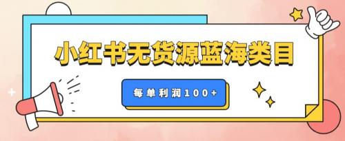 小红书无货源做蓝海类目【每单利润50-200 】，单月轻松过万【揭秘】