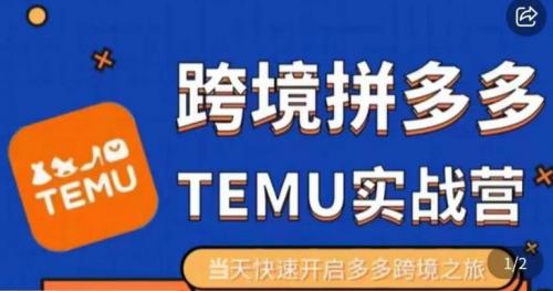 大鹏出海·拼多多跨境temu运营指导，开店注册 选品 核价上架，日出千单实战课