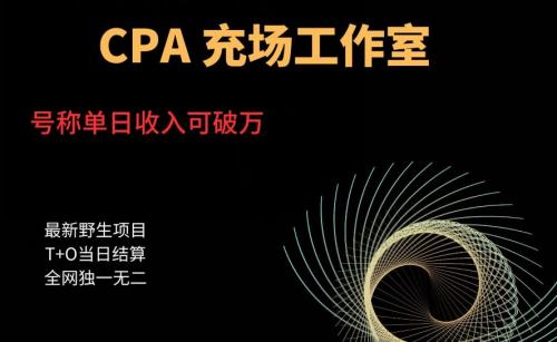 cpa充场工作室，号称单日收入10000 （揭秘）