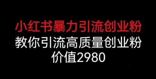 小红书暴力引流创业粉，教你引流高质量创业粉，价值2980【揭秘】