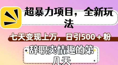 超暴利项目，全新玩法（辞职卖情趣的第几天），七天变现上万，日引500 粉【揭秘】