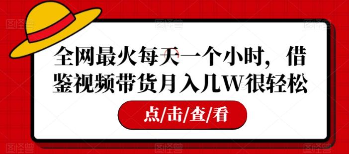 全网最火每天一个小时，借鉴视频带货月入几W很轻松【揭秘】