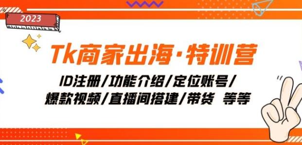 Tk商家出海·特训营：ID注册/功能介绍/定位账号/爆款视频/直播间搭建/带货-有为创业网